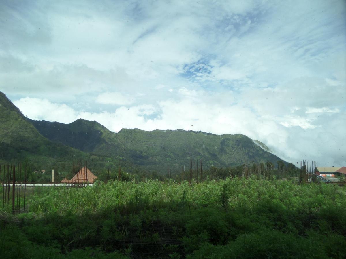 Hotel Bromo Permai 1 Exterior foto